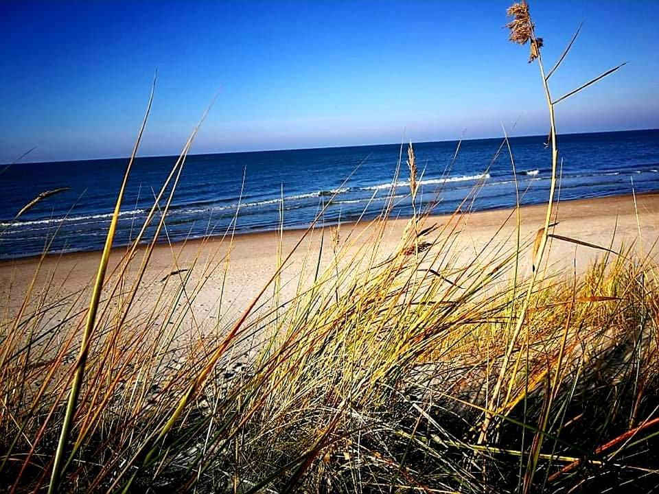 Dianos Apartamentai Palanga Luaran gambar